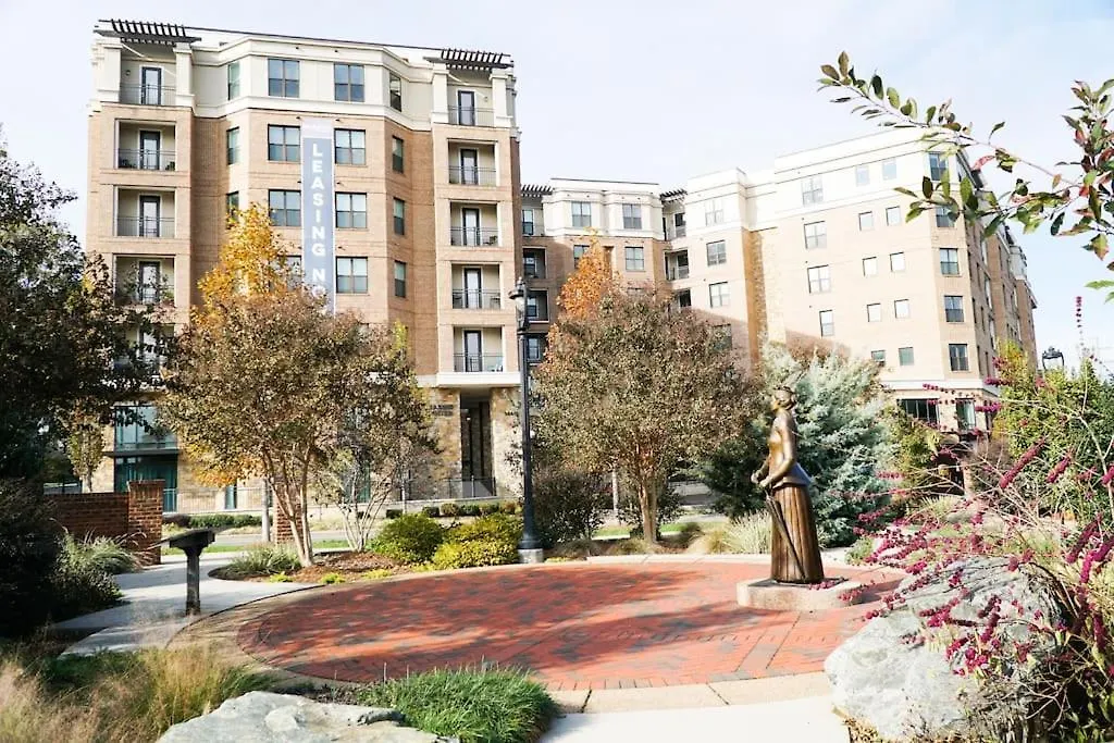 Queen Bed In Dilworth ◈ Shopping ◈ Restaurants Charlotte